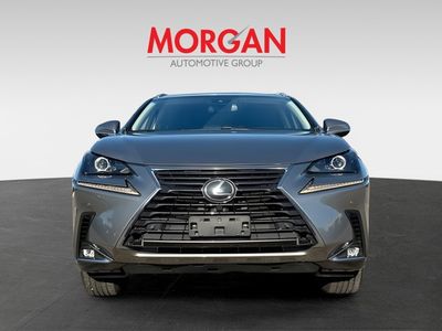 2019 Lexus NX - Photo 8