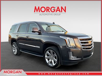 2017 Cadillac Escalade - Photo 1