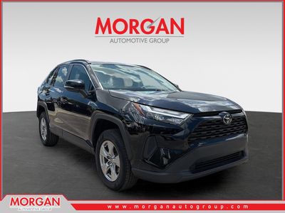 2024 Toyota RAV4 - Photo 1