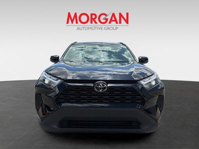 2024 Toyota RAV4 - Photo 8