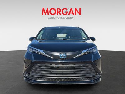 2025 Toyota Sienna - Photo 8