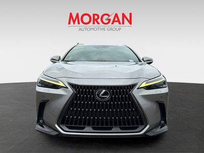 2023 Lexus NX - Photo 8