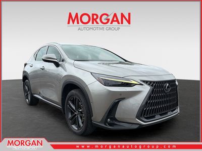 2023 Lexus NX - Photo 1