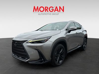 2023 Lexus NX - Photo 7