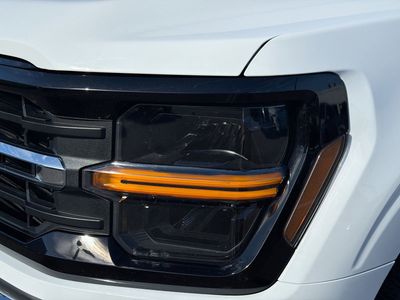 2025 Ford F-150 - Photo 10