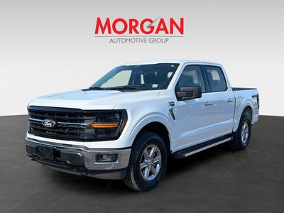 2025 Ford F-150 - Photo 8