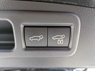 2025 Lexus RX - Photo 13