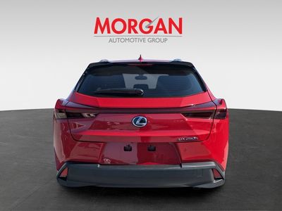 2024 Lexus UX - Photo 4