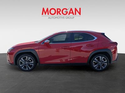 2024 Lexus UX - Photo 6