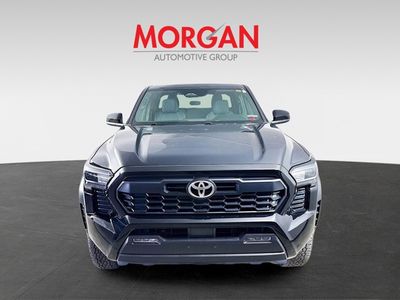 2024 Toyota Tacoma - Photo 8