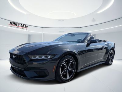 2024 Ford Mustang - Photo 12