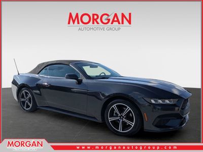 2024 Ford Mustang - Photo 1