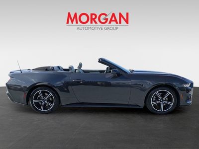 2024 Ford Mustang - Photo 2