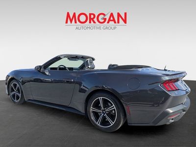 2024 Ford Mustang - Photo 8