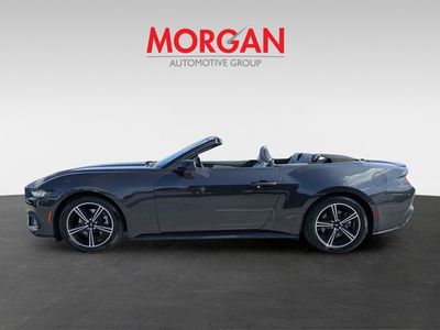 2024 Ford Mustang - Photo 10