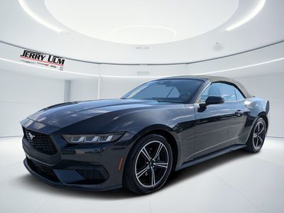 2024 Ford Mustang - Photo 13