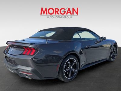 2024 Ford Mustang - Photo 4