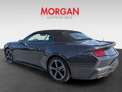 2024 Ford Mustang - Photo 9