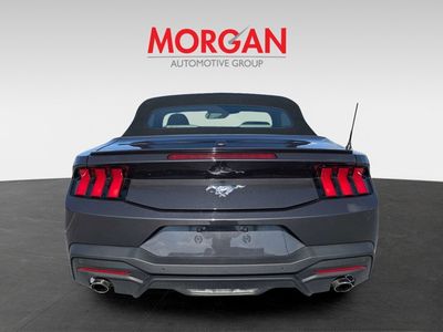 2024 Ford Mustang - Photo 7