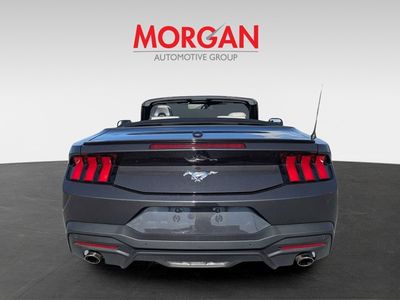 2024 Ford Mustang - Photo 6