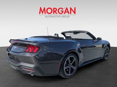 2024 Ford Mustang - Photo 5