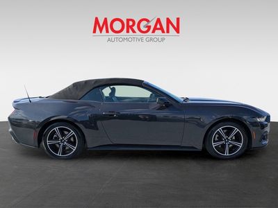 2024 Ford Mustang - Photo 3