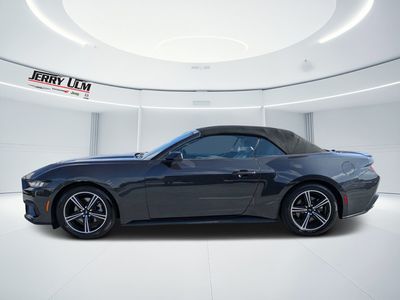 2024 Ford Mustang - Photo 11