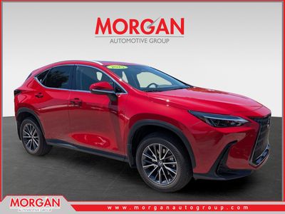 2025 Lexus NX - Photo 1