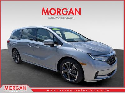 2024 Honda Odyssey - Photo 1