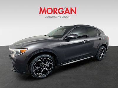 2023 Alfa Romeo Stelvio - Photo 4