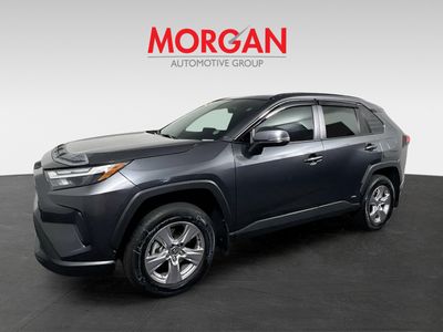 2024 Toyota RAV4 Hybrid - Photo 7