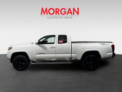 2020 Toyota Tacoma - Photo 6
