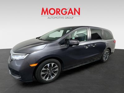 2023 Honda Odyssey - Photo 7