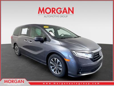 2023 Honda Odyssey - Photo 1