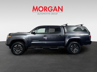 2023 Toyota Tacoma - Photo 6