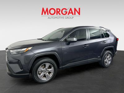 2025 Toyota RAV4 Hybrid - Photo 7
