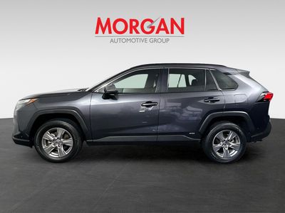 2025 Toyota RAV4 Hybrid - Photo 6