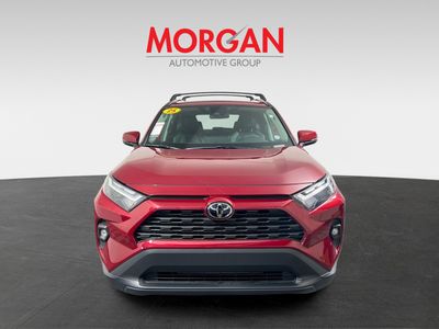2025 Toyota RAV4 - Photo 8