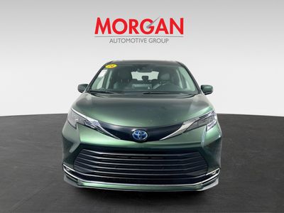 2024 Toyota Sienna - Photo 8