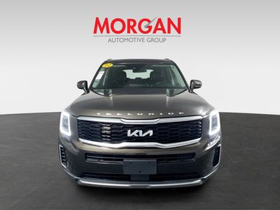 2022 Kia Telluride - Photo 8