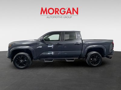 2024 Toyota Tacoma - Photo 6