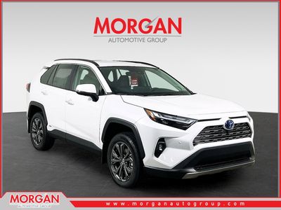2024 Toyota RAV4 - Photo 1