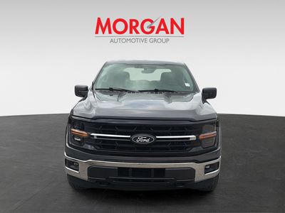 2025 Ford F-150 - Photo 8