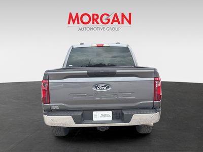2025 Ford F-150 - Photo 4