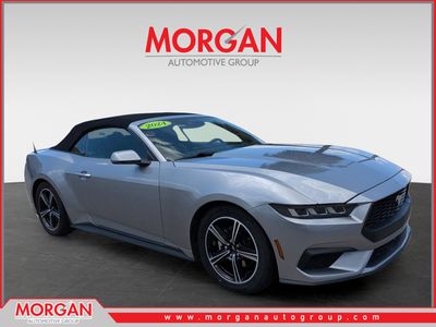 2024 Ford Mustang - Photo 1