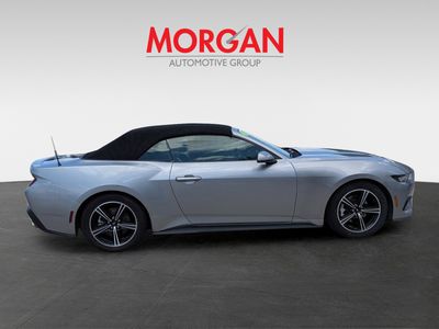 2024 Ford Mustang - Photo 3