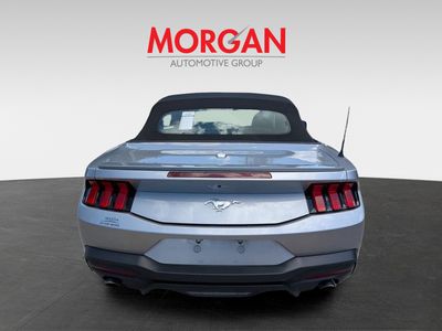 2024 Ford Mustang - Photo 5