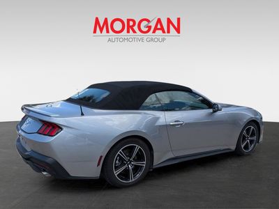 2024 Ford Mustang - Photo 4