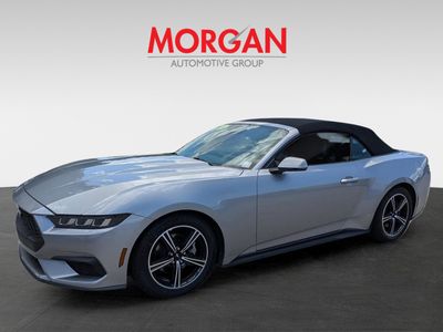 2024 Ford Mustang - Photo 8