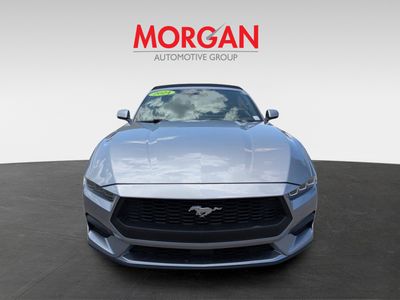 2024 Ford Mustang - Photo 9